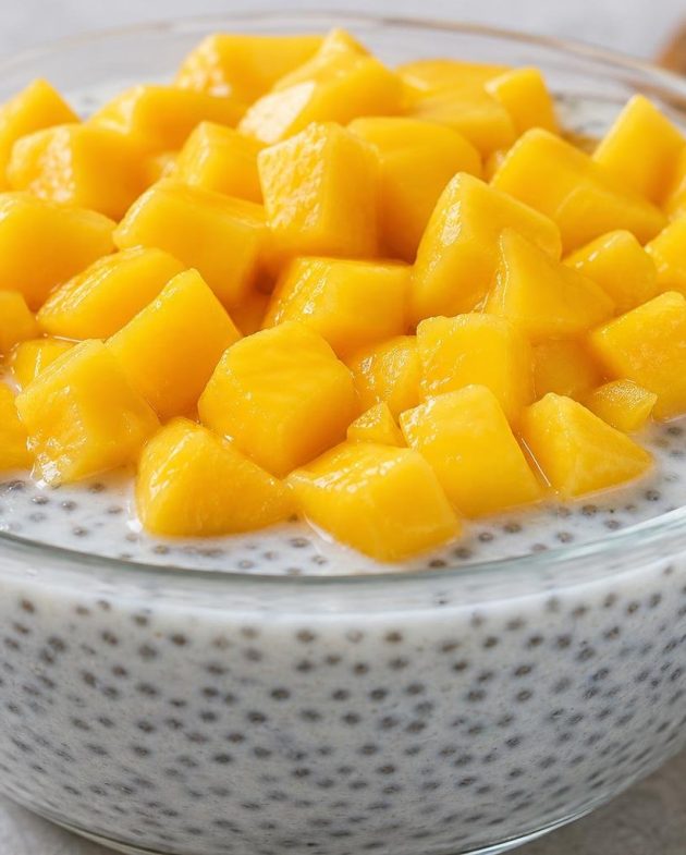 Chia seed pudding with creamy coconut milk topped with fresh diced mango in a glass bowl.